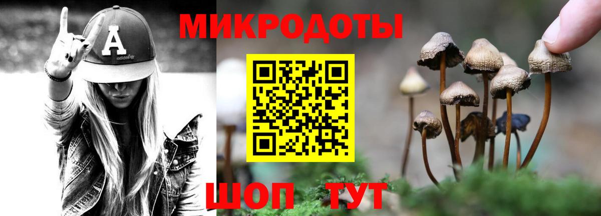 Псилоцибиновые грибы Magic Shrooms Тихвин